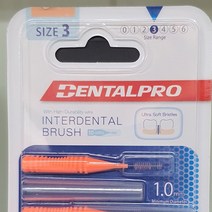 덴탈프로 치간칫솔 1.0mm 10P, 1, 본상품선택