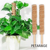 패타리지 식물지지대 조경 나무지지대 코코넛봉 코코봉 이름표 사은품 증정, 노끈2m