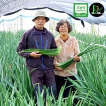 무농약 피네농장 생알로에 2kg 3kg 5kg 10kg 식용 생잎 먹는 알로에 베라, 5kg한박스