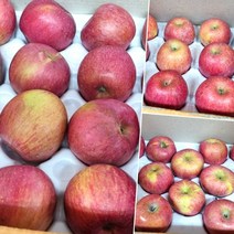 못생겨도 맛있는 가정용 흠집 사과 야채과일 야과몰 못난이 apple, 소, 7kg