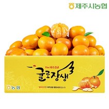 제주시농협 노지감귤 9kg 로얄과 2S-M(실중량), 단품