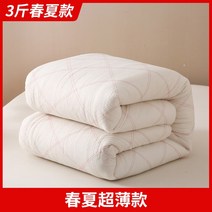 목화솜 이불 두꺼운 겨울 호텔 침구 사계절 이불 극세사 피그먼트 기숙사