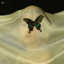 [CD] 카코포니 (cacophony) - 夢(Dream)
