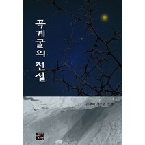곡계굴의 전설:김정희 청소년 소설, 고래가숨쉬는도서관