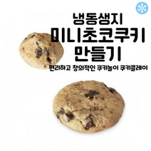 마리네빵공장 쿠키 냉동생지 미니 초코맛 토이 쿠키만들기 납품 결혼 답례품 18g x 25개입, 18g x 75개입