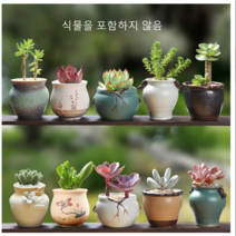 10종 도자기 미니 다육 화분, 10개