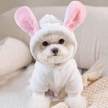 강아지 토끼 귀 후드 롬퍼 옷 반려 동물 귀여운 의류, 중, 화이트