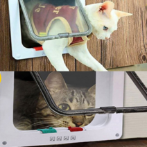 양방향 고양이 펫도어 견문 방묘문 중문 개문 베란다, 화이트