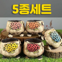 다육맘 수제화분 다육화분 도향#246, 5종세트