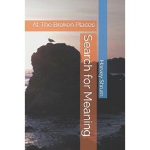 Search for Meaning: At The Broken Places Paperback, Wyndham Hall Press, English, 9781556054297