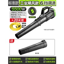 충전식 송풍기 소형 건설현장 청소기 독일 건설 무선, CT 5500W 6단+20m
