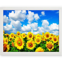 액자 세트 DIY 보석 큐빅 비즈 십자수 30x40 cm, 52.화창한 해바라기(화이트), 1개