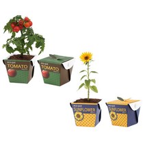 실내식물 키우기쉬운식물 미니 페이퍼화분 씨앗세트_[230303EA], 해바라기