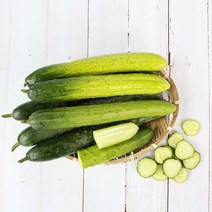 국내산 청오이 2kg(7개내외), 단품