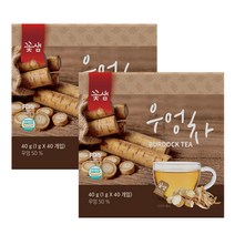 꽃샘 우엉차 40T X 2개, 1g