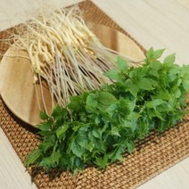 스마트팜 수경재배 새싹인삼 특대 50뿌리, 고급보자기 포장