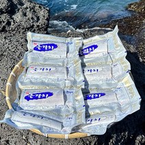 제주직송 특대 생물 냉장 은갈치 (마리당 400g부터 1100g 내외), 특대(350g-400g 내외), 1미(4토막)