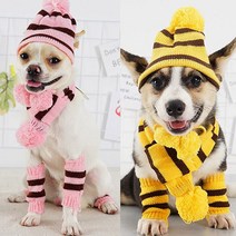 강아지 고양이 생일 축하 기념 스카프 + 모자 세트, 옐로우, 1세트