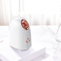 스팀 페이스 퍼너 가정용 수분 디스펜서 미용용품, 화이트