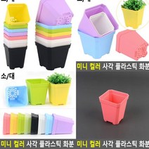 플라스틱화분 소 핑크 블루베리화분 베란다화분 빈화분 분갈이화분 사무실화분 홈가드닝 상자텃밭 후리지아화분 인테리어화분 이태리토분 옥상텃밭 실내텃밭 플랜트박스 분재화분 나무화분 베란다텃밭 대형화분 베란다상추키우기 빈티지토분 상추화분 야외화분 텃밭화분 집에서상추키우기 독일토