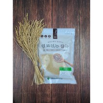 2022년산 햇곡 현미쌀눈(씨눈) 쌀눈 선식 국내산 500g 500g+500g 1kg, 1