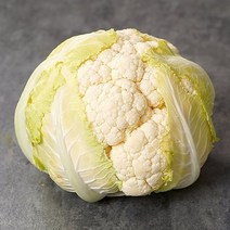 제주 콜리플라워 특 1.5kg, 단품