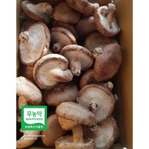 산지직송 예산표고버섯 못난이 생표고버섯 가정용으로 추천 다시용 가루용 대량용 육수용 김정용 식당용 건조용 농장직송, 못난이-10kg