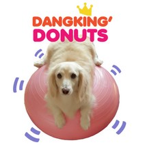 [댕킹도너츠] 강아지 짐볼 밸런스볼 (반려견 애견 코어운동 관절 슬개골탈구예방), 딸기맛