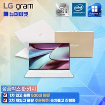 [풀박스패키지] LG그램15 코어i5 인텔10세대 초경량 1.09kg(전시몰닷컴), 15ZB995, WIN11 Pro, 16GB, 512GB