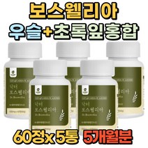 프리미엄 보스웰리아 초록잎 홍합 60정 알약 부모님 관절 연골 남자 여자 40대 50대 60대 70대 선물 추천 홈쇼핑 우슬 복합물 정, 5통(5개월)