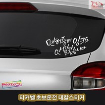 LJ TKB TKCH-19 자동차 차량용 티커벨 면허증에 잉크도 안말랐습니다 초보운전 데칼스티커, 1개, 블랙 중형