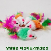 놀이터 고양이가좋아하는것 고양이기구 아기고양이키우기, 1개
