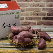 [가락시장찐여사] 햇 꿀밤 고구마 소소(한입) 3kg 5kg 10kg /22년 베니하루카