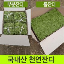 부분잔디20장/롤잔디2장(박스포장)무료배 송, 롤잔디60cm40cm2장