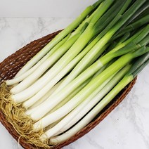 손질대파 시원한 음식맛을 내고 피를 맑게하는 깨끗한 대파, 1매, 1kg