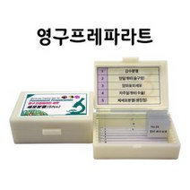 영구프레파라트-세포분열(5pcs)