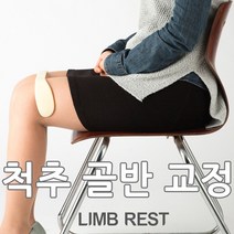 알라딘 림레스트 바른 자세 교정기 거북목 골반 척추 휜다리 일자목 굽은 어깨 교정기