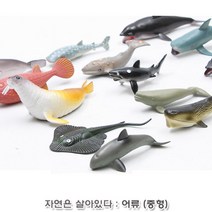 교육용 모형완구 어류탐험 중형 여아 공룡놀이 장난감도매 여아선물 유아 크리스마스선물 유아장난감