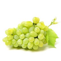 샤인머스켓 2kg 국산 청포도 머스켓 망고포도 진맛깔