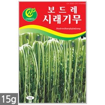 서리태 씨앗 30g - 콩 씨 청약콩 검은콩 쥐눈이콩 서리태씨앗 콩 검정콩씨앗 검은콩씨앗 콩씨앗 서리태씨 검은콩씨 주말농장 텃밭, 12_시래기무(15g)