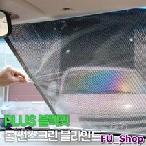 ForU3 블랙핏 롤 썬스크린 블라인드 2P 어닝 차량햇빛가리개 자동차햇빛가리개, 본상품