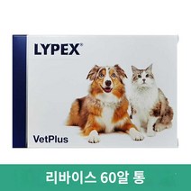 효소 라이펙스 췌장, 60알/통째
