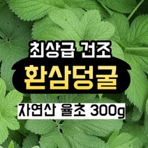 최상급 햇 환삼덩굴 율초 300g 건조 국내산, 1개