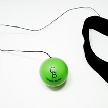 복싱 다이어트 운동기구 탭볼 고급자용(그린)