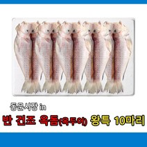 반 건조 옥돔(옥두어 )제주농수산 왕특사이즈10마리