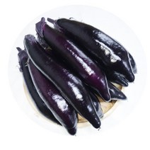 신선한 국내산 가지 가지나물 생가지 3kg 5kg