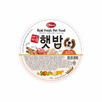 RT 국산자연식사료 햇밥 소고기, 단품