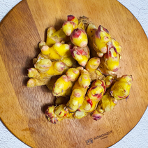 돌산댁 국산 깐생강 햇생강 세척생강 간생강 여수 산지직송 1kg, 간생강(갈려진)1kg, 1개