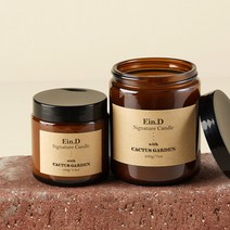 에인디 대형1+소형1 원쁠 우드 심지 감성충만 소이캔들 세트, 칵투스