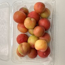 산지직송 경북 햇 자두 대석자두 최상품 선물용 사이즈 랜덤 500g (6-16과)